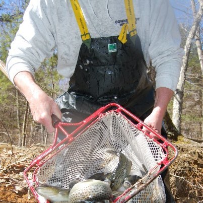 va trout stocking va trout stocking