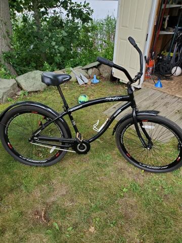 shogun beach cruiser